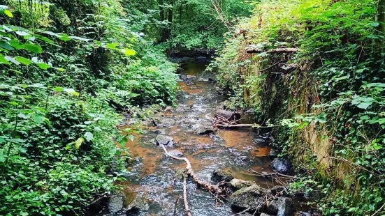 Gorges de Narvau