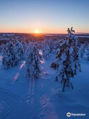 Syväsenvaara Fell (Observation Tower)