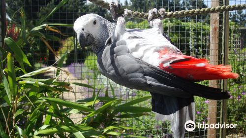 Filey Bird Garden and Animal Park