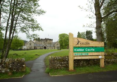 Kielder Water & Forest Park