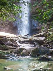 Avocat Waterfall