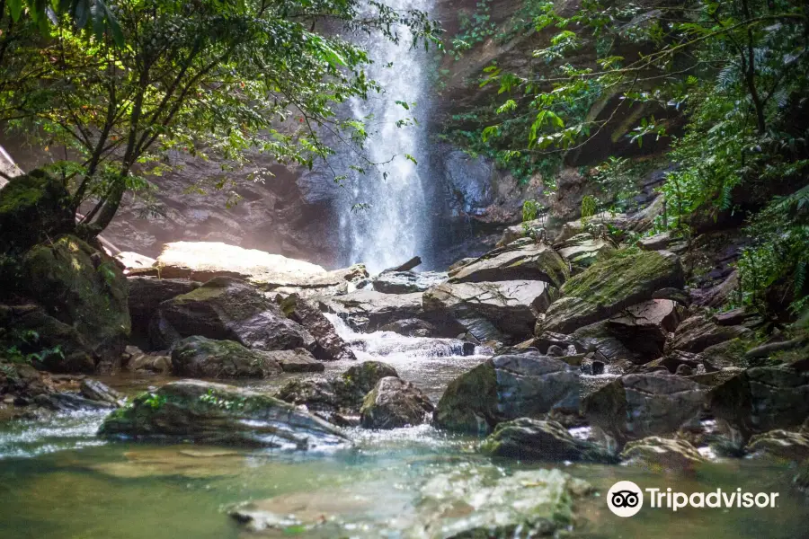 Avocat Waterfall