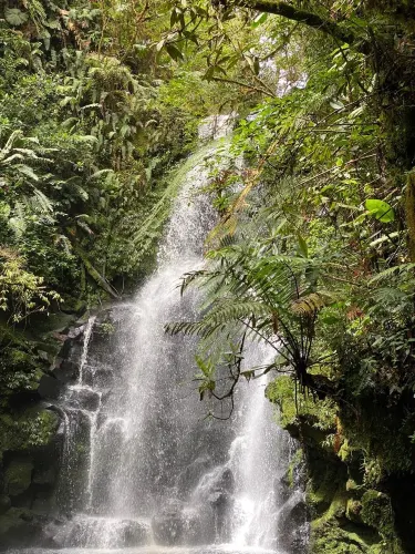 San José de la Montaña