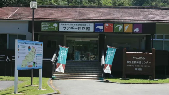 やんばる野生生物保護センターウフギー自然館