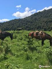 Patagonia Trails