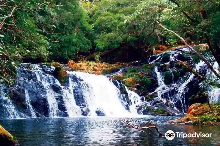 Kon Ka Kinh National Park