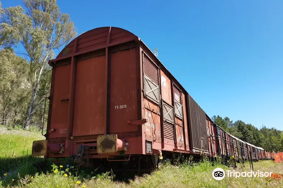 Train - Museum of Villarosa