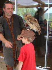 PARK WITH RAPTORS - Falconry Marche