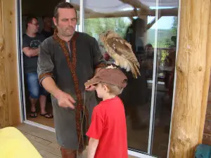 PARK WITH RAPTORS - Falconry Marche