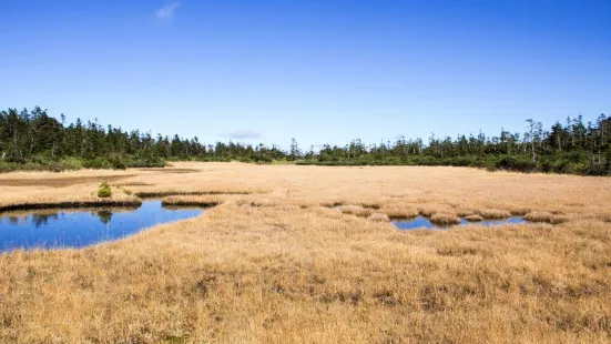 Kuroyachi Marsh