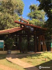 Centro de Proteção e Educação Ambiental da Mata do Jambreiro (CPEA)