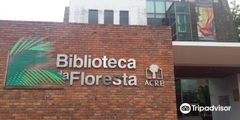 Biblioteca Da Floresta