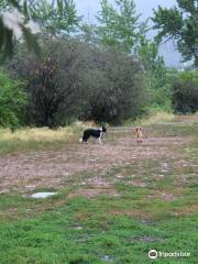 Jacobs Island Bark Park