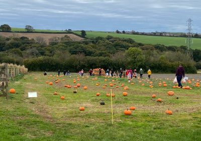 The Cornish Maize Maze and fun farm