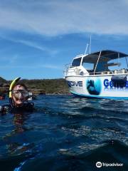 Dive Jervis Bay