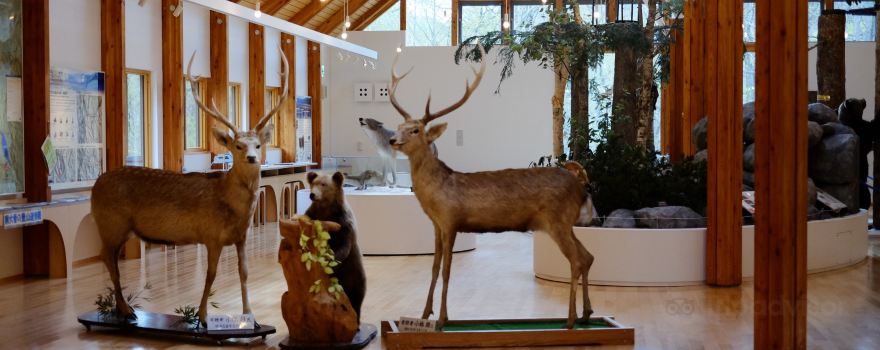 Higashitaisetsu Nature Centre
