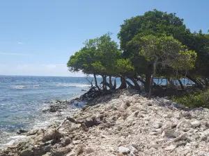 Isla Mata La Gata