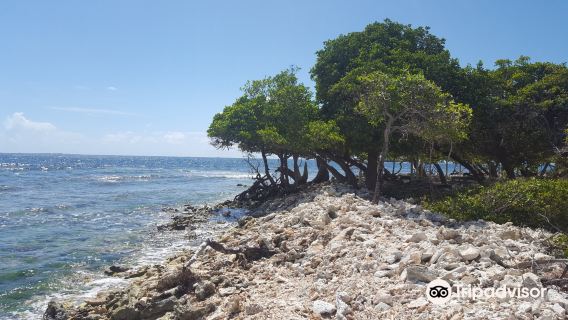 Isla Mata La Gata