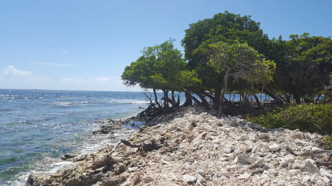 Hotels near Isla Mata La Gata