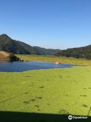 Tsuruta Dam