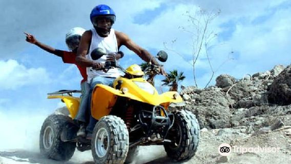 Quad Safari