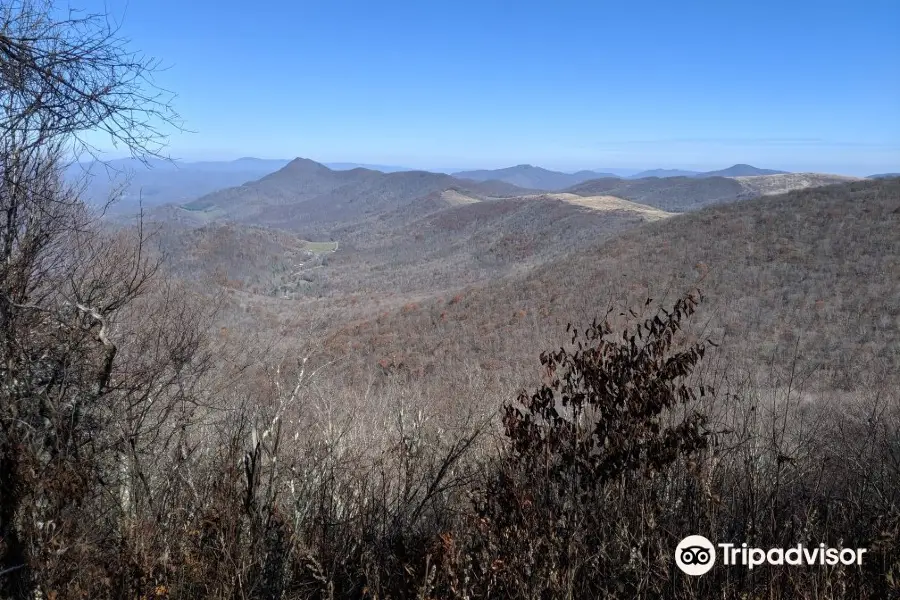 Elk Knob State Park