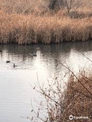 Riverbend Ponds Natural Area