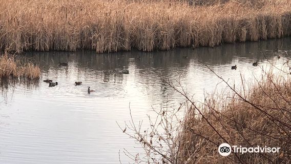 Riverbend Ponds Natural Area