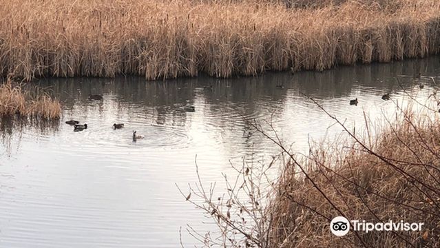 Riverbend Ponds Natural Area