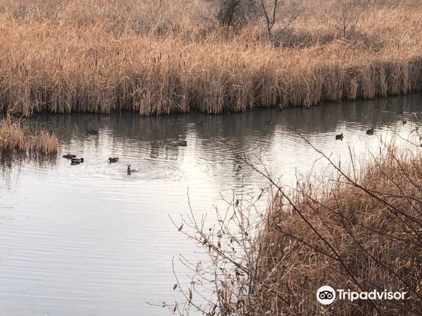 Riverbend Ponds Natural Area