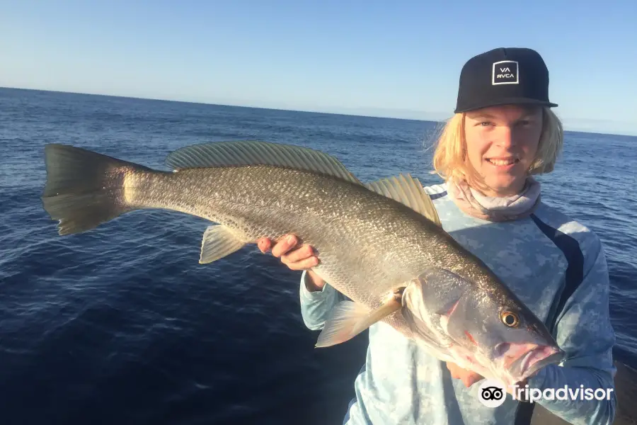 Sunny Coast Fishing