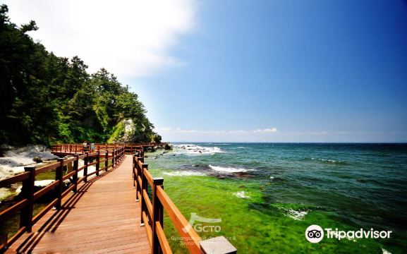 구룡포해수욕장