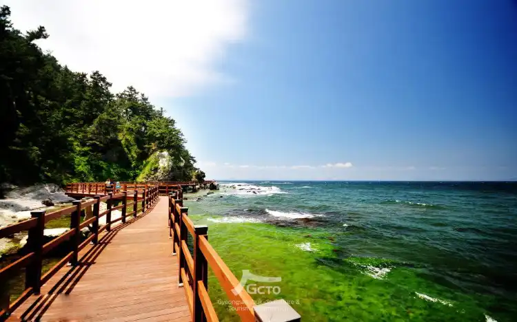Hotels near Guryongpo Beach