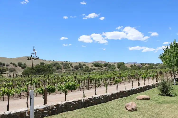Hotels in Hidalgo County