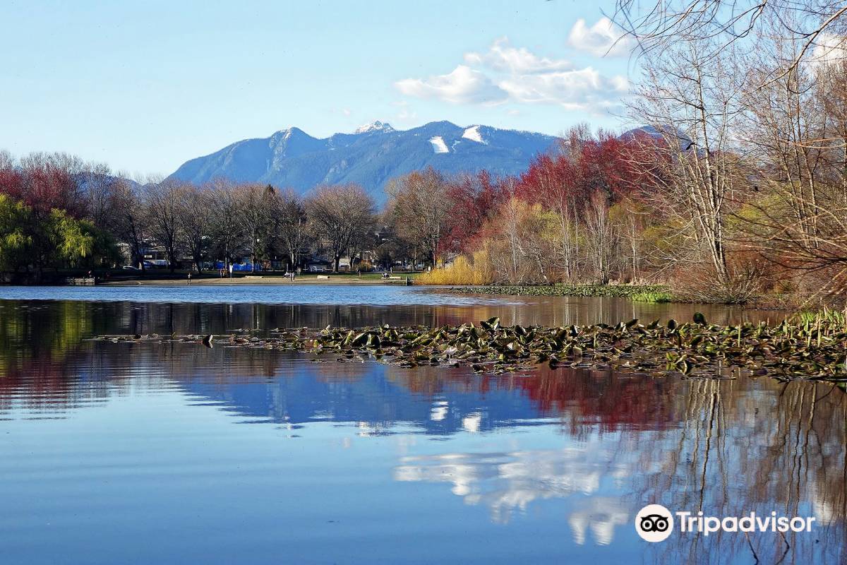 John Henry Trout Lake Dog Park