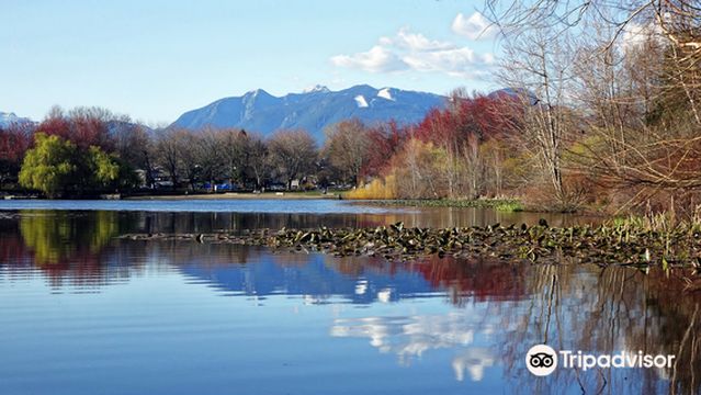John Hendry Park (Trout Lake Park)