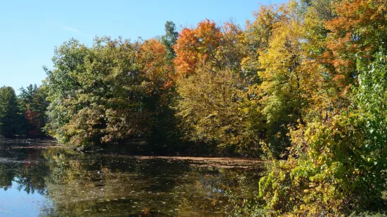 Morris Island Conservation Area