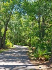 New Tampa Nature Park