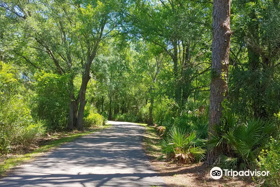 New Tampa Nature Park