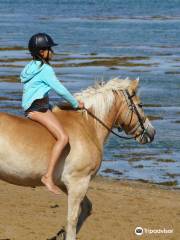 Equinature Bretagne