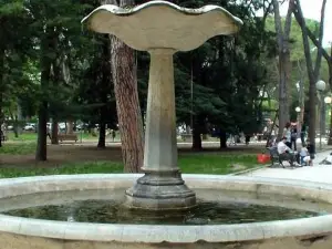 Giardini