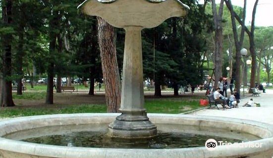 Giardini