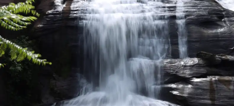 โรงแรมในอำเภอ เซกา