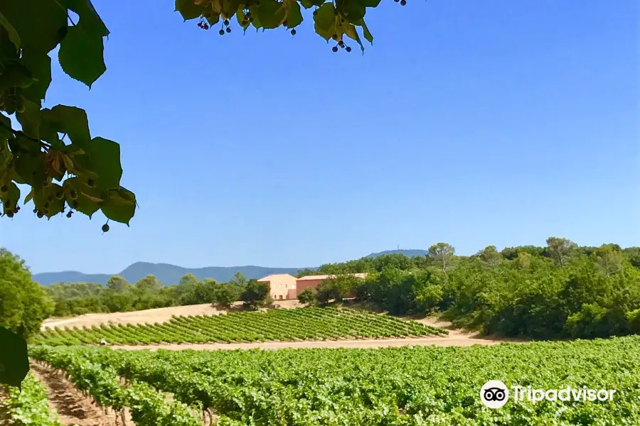 Domaine de Longue Tubi