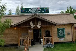 Northern Wildlife Museum