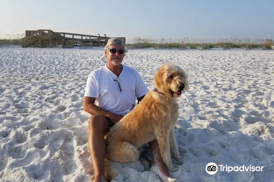 Pensacola Beach East Dog Park