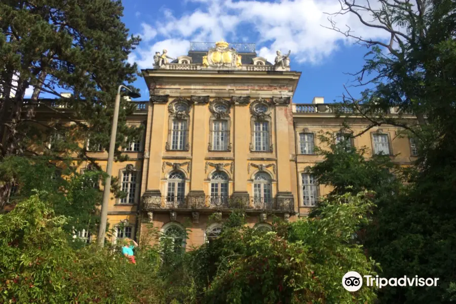 Schloss Dornburg an der Elbe