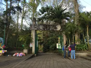 "Los Tecajetes" Park