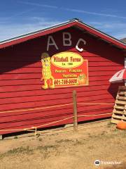 Mitchell Farms Pumpkin Patch