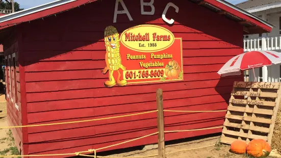 Mitchell Farms Pumpkin Patch